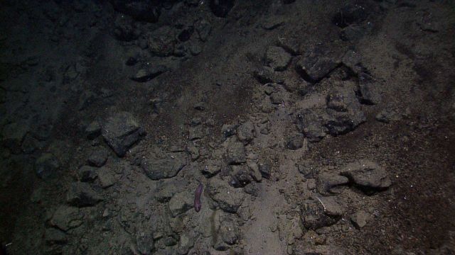 Angular boulders of volcanic rocks laying over gravel and sand bottom Picture