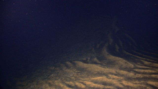 Relatively large sand waves on the seafloor indicating high current regime in this area. Picture