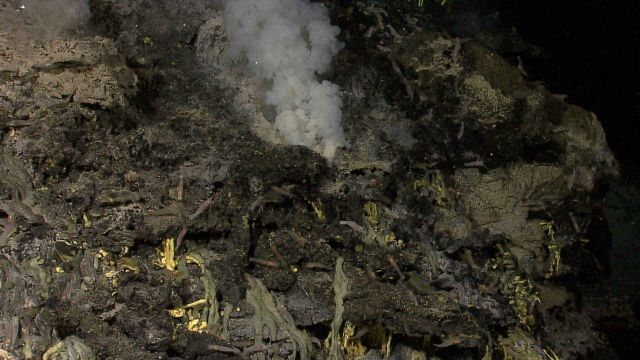 Hydrothermal vent spewing heated fluids on the flank of Kawio Barat volcano Picture
