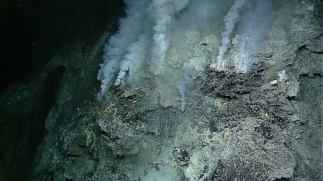 Hydrothermal vents on Kawio Barat submarine volcano spew white smoke Picture