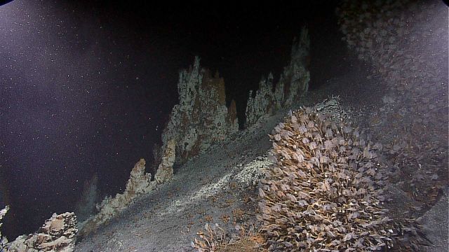 Hydrothermal vent spires at Kawio Barat. Picture