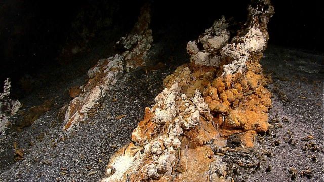 Iron oxide stained hydrothermal vent spires with large orange shrimp Picture