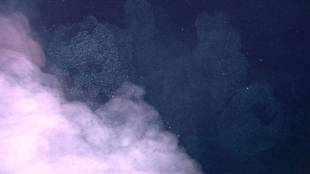 Hydrothermal vents on Kawio Barat submarine volcano spew white smoke Picture