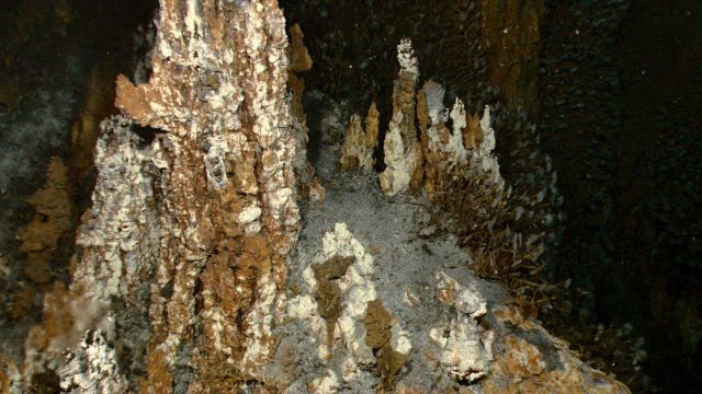 Spires built by hydrothermal activity Picture