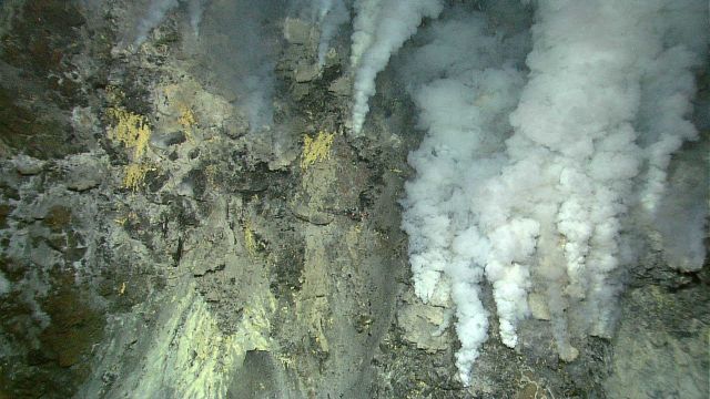 Hydrothermal vents on Kawio Barat submarine volcano spew white mineral-laden fluids Picture