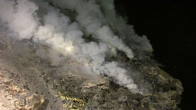 Hydrothermal vents on Kawio Barat submarine volcano spew white mineral-laden fluids Picture