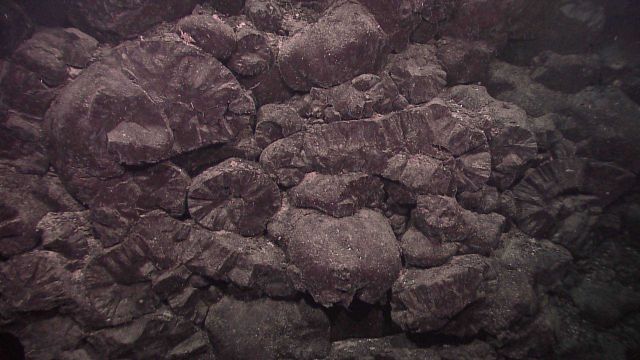 Circular patterns in rock outcrop Picture