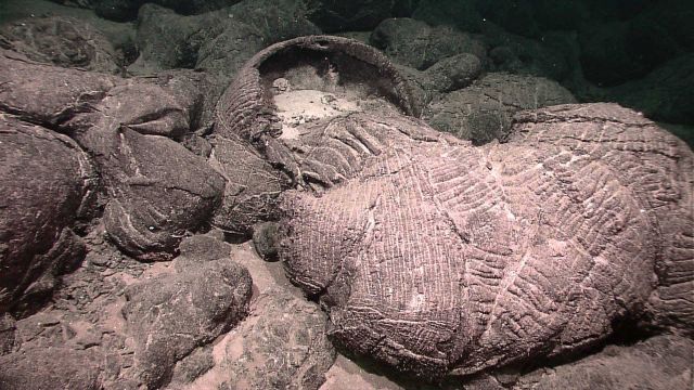 A collapsed pillow lava Picture