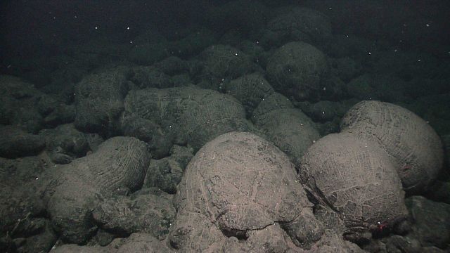 A remarkable field of pillow lavas Picture