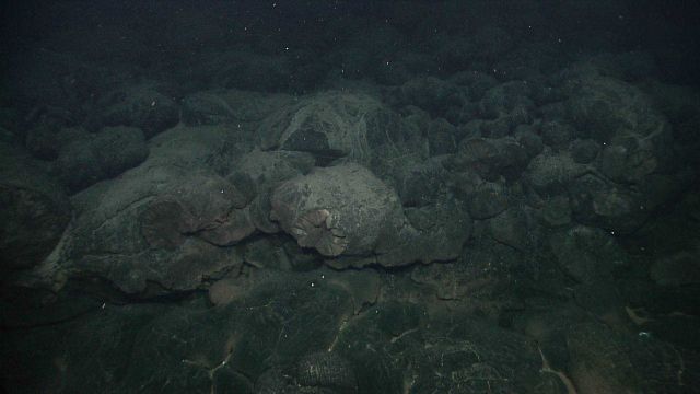 Baked appearing rock with circular shatter patterns and some indication of hydrothermal alteration. Picture