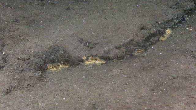 Yellow areas along crack possibly iron oxide staining but without sampling to verify its composition, it could also be of biological origin Picture