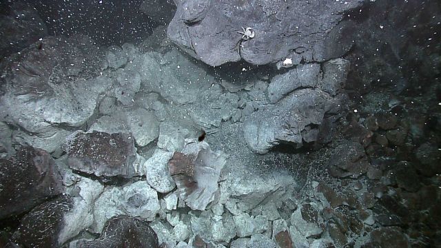A recent lava flow showing white microbial staining on the broken basaltic rocks , caused by discharge of warm hydrothermal fluids through the seafloo Picture