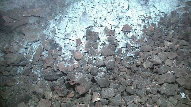 An area of angular boulders with white coating which is probably of biological origin Picture