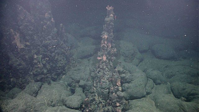 A field of extinct sulfide chimneys, a few meters high, rise above the surrounding seafloor Picture