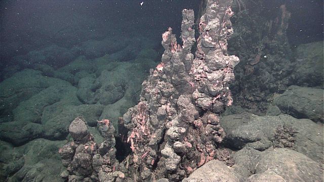 A field of extinct sulfide chimneys, a few meters high, rise above the surrounding seafloor Picture