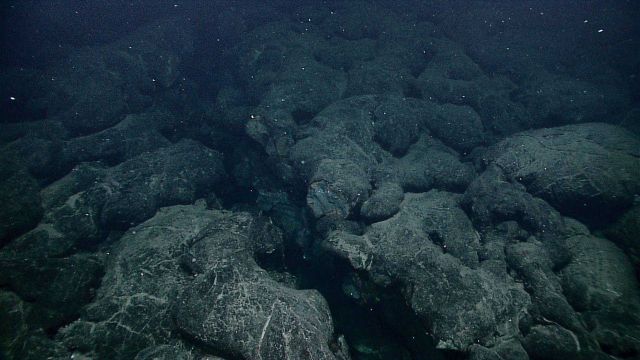 A rugged area of pillow lavas and a large fissure in the seafloor. Picture