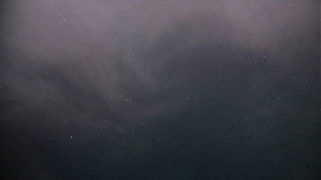 Hydrothermal mineral laden fluids give a smoky appearance to the waters near a hydrothermal vent. Picture
