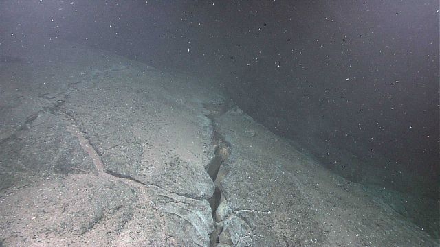 A large crack in an otherwise smooth lava sea floor along the Galapagos Rift Picture