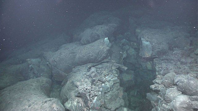 Note the white faces on the rock in the right center of the image Picture