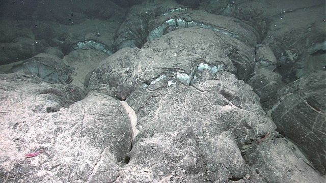 Pillow lavas with light sediment cover Picture