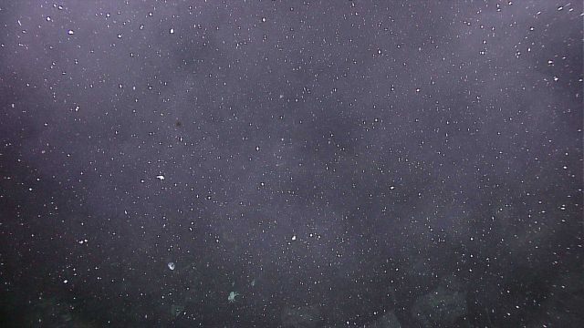 Hydrothermal mineral laden fluids give a smoky appearance to the waters near a hydrothermal vent Picture