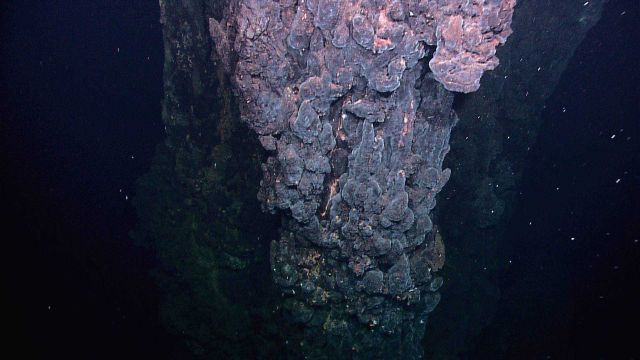 A field of extinct sulfide chimneys, several meters high, rise above the surrounding seafloor Picture