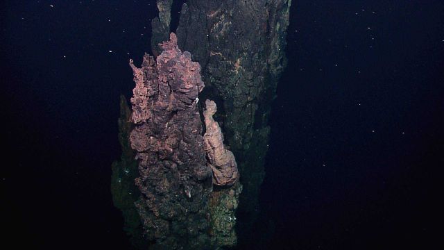A field of extinct sulfide chimneys, several meters high, rise above the surrounding seafloor Picture