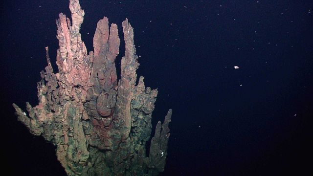 Inactive sulfide chimneys along the pinnacle of one tall extinct sulfide spire Picture