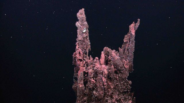 Inactive sulfide chimneys along the pinnacle of one tall extinct sulfide spire Picture