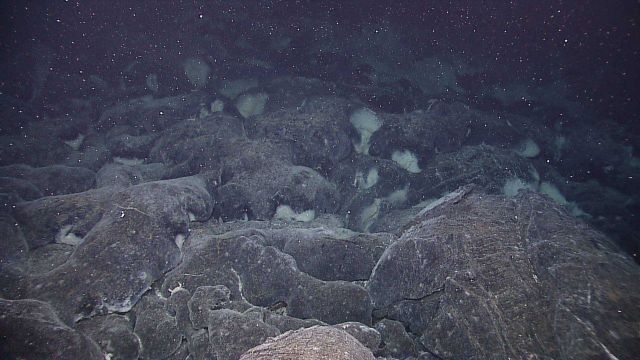 Microscopic microbial material often lines cracks and vent openings in the basaltic seafloor lava following volcanic eruptions. Picture