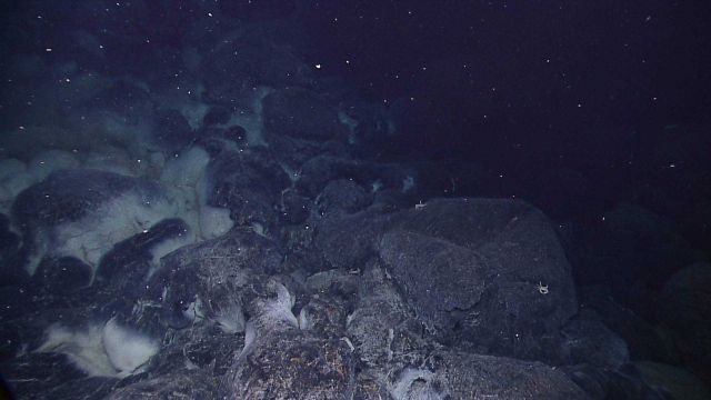 Microscopic microbial material often lines cracks and vent openings in the basaltic seafloor lava following volcanic eruptions. Picture