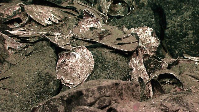 Dead broken clam shells indicating an area of previous hydrothermal venting. Picture