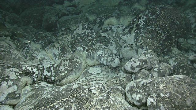 Microscopic microbial material often lines cracks and vent openings in the basaltic seafloor lava following volcanic eruptions Picture