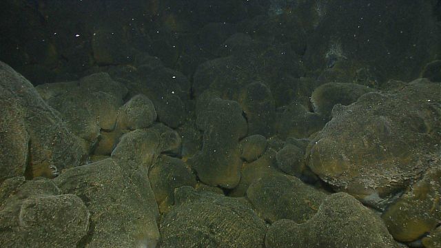 Field of rounded pillow lavas near hydrothermal vent site. Picture