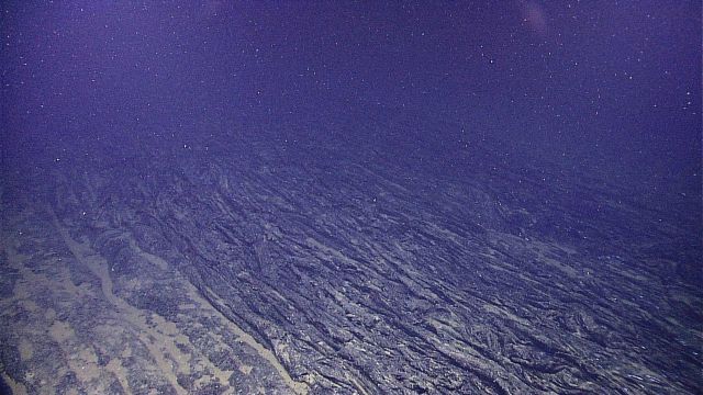 A field of ropy pahoehoe lava that exhibited apparent laminar flow Picture