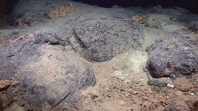 Even here, at the edge of creation, human trash finds its way to the seafloor. Picture