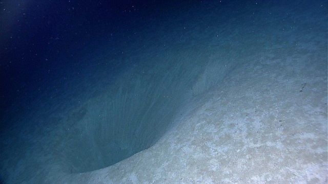 A large hole in the sediment showing the capacity of these sorts of features to disturb surficial seafloor sediments. Picture
