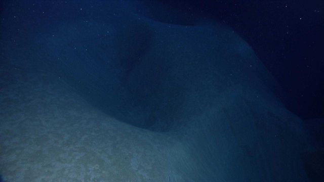 Large holes and depressions in the sediment Picture