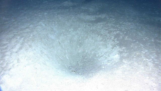Hole with course detritus in the bottom. Picture