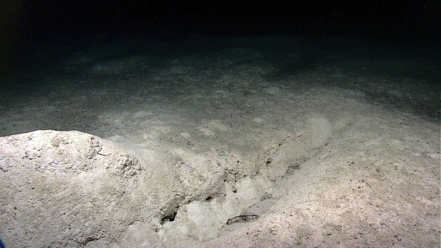 Large gouge in sediment with accompanying large pile of sediment Picture