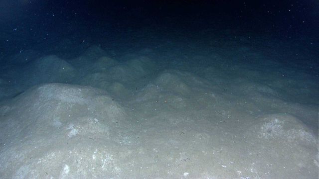 Hummocky mounds in sediment caused by either biological or geological activity Picture