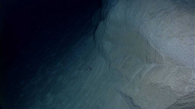 Consolidated sandstone or ash cliff with deep sea fish cruising just below the cliff face. Picture