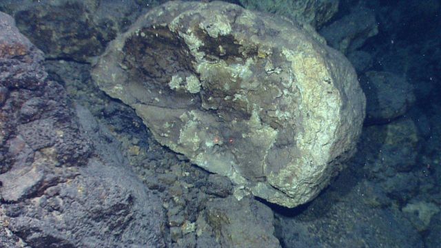Large, apparently hydrothermally altered boulder Picture