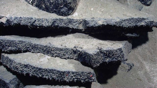 Broken sheet lava slabs covered on broken edges covered with small life forms Picture