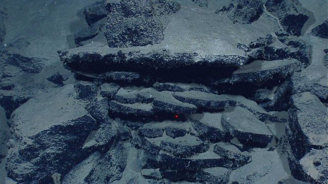 Broken sheet lava slabs covered on broken edges covered with small life forms Picture