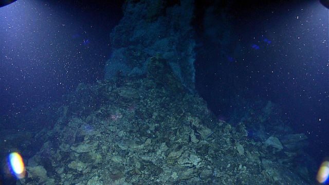 Hydrothermal chimney spire with shrimp agglomeration at top Picture
