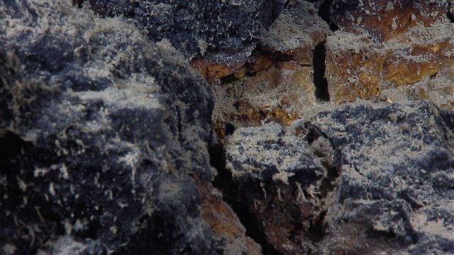Although not in vicinity of a hydrothermal vent, iron oxide stained hydrothermally altered rock material is indicative of past hydrothermal activity i Picture