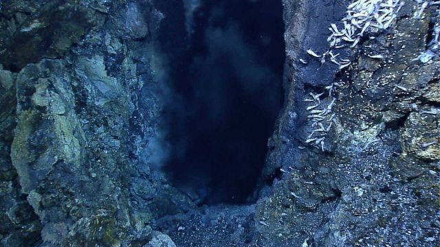 Huge 3-foot orifice of hydrothermal vent at the Von Damm vent site Picture