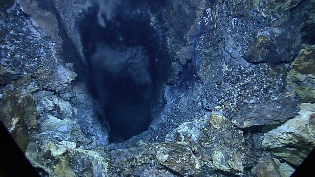 Huge 3-foot orifice of hydrothermal vent at the Von Damm vent site Picture