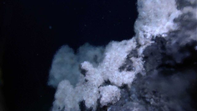 Looking through shimmering hot hydrothermal fluids at white 